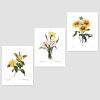 Set Of 3 Botanical Art Yellow Flower Prints Redoute French Home Wall Decor Daffodil Sunflower 8x10 Unframed 0 100x100