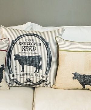 Farmhouse Pillows