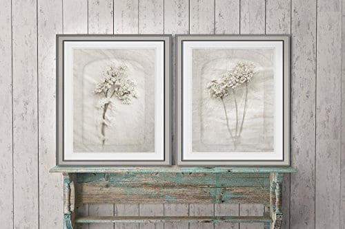Queen Annes Lace Wall Art 8x10 Prints Cottage Decor Cream Wall Decor Fixer Upper Farmhouse Rustic Gift For Her 0 0