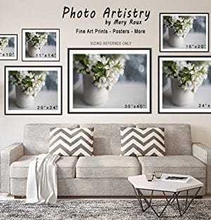 Queen Annes Lace Wall Art 8x10 Prints Cottage Decor Cream Wall Decor Fixer Upper Farmhouse Rustic Gift For Her 0 3 300x313