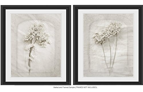 Queen Annes Lace Wall Art 8x10 Prints Cottage Decor Cream Wall Decor Fixer Upper Farmhouse Rustic Gift For Her 0