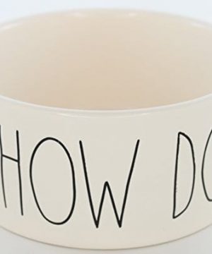 Rae Dunn Magenta Ceramic Pet Bowl Chow Down Large 6 Inch 0 300x360