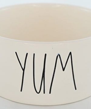 Rae Dunn Magenta Ceramic Pet Bowl Yum Large 6 Inch 0 300x360