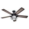Hunter 59135 Key Biscayne 54 Weathered Zinc Ceiling Fan With Five Burnished Gray PineGray Pine Reversible Blades 0 100x100
