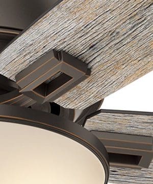 Hunter Fan 52 Inch Low Profile Ceiling Fan In Onyx Bengal With Led