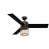 Hunter Fan Company 59239 Ceiling Fan Large Matte Black 0 100x100