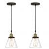 WISBEAM Pendant Lighting Fixture With Oil Rubbed Bronze And Brass Finish Hanging Lights With One Medium Base Max 60 Watts ETL Rated 2 Pack 0 100x100