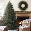 Balsam Hill Classic Blue Spruce Artificial Christmas Tree 45 Feet LED Clear Lights 0 100x100