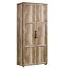 Sauder HomePlus Storage Cabinet Lintel Oak Finish 0 100x100