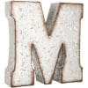 Generic Galvanized Metal 3D Letter MGrey Metal 0 100x100