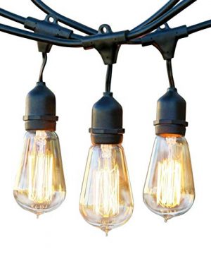 Brightech Ambience Pro Outdoor Edison String Lights Dimmable Vintage Filament Bulbs Create Old Time Bistro Ambience On Your Patio Commercial Grade Weatherproof 48 Ft Market Lights 0 300x360