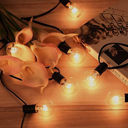 SkrLights 100 FT Globe String Lights With 105 G40 Globe Clear Bulbs G40 Indoor Outdoor Lighting Garden Fairy Backyard Market Xmas Holiday Patio Wedding Party String Lights Black Wire 0 1