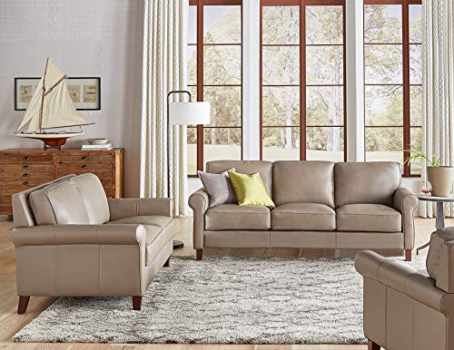 Hydeline Laa 100 Leather Sofa, Farmhouse Living Room With Leather Sectional