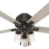 HUNTER 50313 Low Profile Indoor Ceiling Fan With LED Lights And Pull Chain 52 Noble Bronze 0 100x100