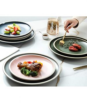Matte Porcelain Dinner Plates Set Of 4 Assorted ColorsPizza Pasta Serving Plates 104 Inch 0 4 300x360
