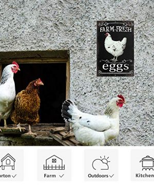 Putuo Decor Chicken Coop Signs Farm Decor For Country Cottage Kitchen 12x8 Inches Aluminum Metal Wall Sign Farm Fresh Eggs 0 3 300x360