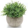 Velener Mini Plastic Artificial Plants Benn Grass In Pot For Home Decor Green 0 100x100