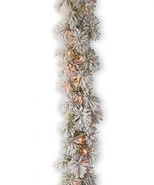 National Tree FBASNP1 307 9B 1 Company Lit Artificial Christmas Garland Includes Pre Strung White Lights Snowy Bristle Pine 9 Ft Green 0 300x360