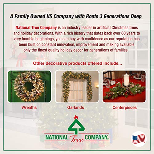 National Tree Company Pre Lit Artificial Christmas Wreath Includes Pre Strung LED Lights Norwood Fir 30 Inch 0 2