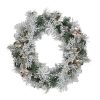 Northlight Pre Lit Flocked Victoria Pine Artificial Christmas Wreath 24 Inch Clear Lights 0 100x100