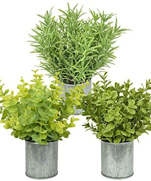 3 Pack Mini Galvanized Metal Potted Fake Plants Artificial Eucalyptus Boxwood Rosemary Plants Rustic Farmhouse Home Decor Centerpieces For Dining Room Table 0 300x360