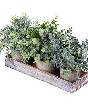 Set Of 3 Mini Potted Artificial Eucalyptus Plants Faux Rosemary Plant Assortment With Wood Planter Box For Indoor Office Desk Apartment Wedding Tabletop Greenery Decorations 87 Tall 0 300x360
