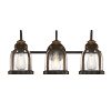 Westinghouse Lighting 6118200 Cindy Vintage Style Three Light Indoor Vanity Light Fixture Oil Rubbed Bronze Finish With Barnwood Accents Clear Seeded Glass 0 100x100
