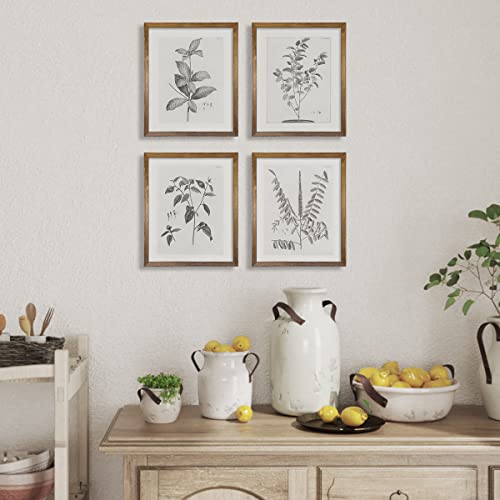 Vintage Farmhouse Botanical Wall Art - Grey Neutral Plant Leaf Sketch Drawing Etching, Beige Floral Flower Print Poster, Minimalist Mid Century French Country Room Decor - Rustic Gray Picture for Wall - Image 4
