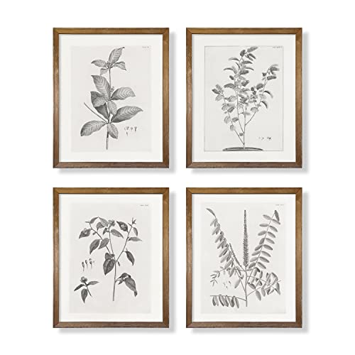 Vintage Farmhouse Botanical Wall Art - Grey Neutral Plant Leaf Sketch Drawing Etching, Beige Floral Flower Print Poster, Minimalist Mid Century French Country Room Decor - Rustic Gray Picture for Wall