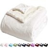 LBRO2M Sherpa Fleece Bed Blanket Queen Size Super Soft Fuzzy Plush Warm Cozy Fluffy Microfiber Couch Throw Double Reversible BlanketsIvory 0 100x100