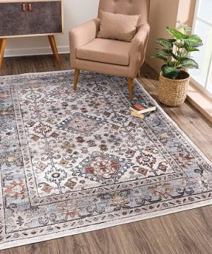 Farmhouse Living Room Area Rugs