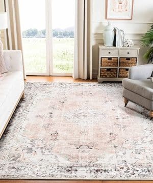 Vintage Area Rugs