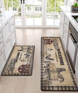 LUFEIJIASHI Kitchen Rugs and Mats Non Skid Washable Set of 2 Pcs Absorbent Kitchen Runner Rugs Farmhouse Kitchen Floor Mats for in Front of Sink