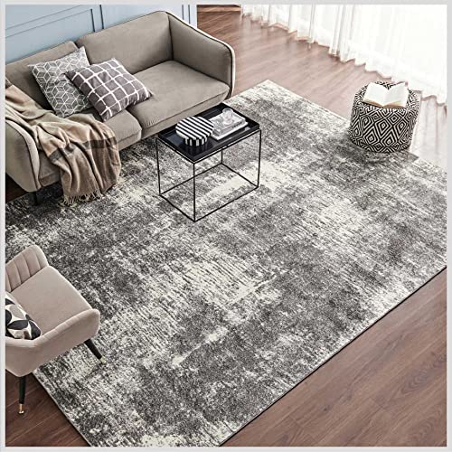 https://farmhousegoals.com/wp-content/uploads/2023/06/Eviva-8x10-Area-Rugs-for-Living-Room-Polypropylene-Turkish-Rug-Indoor-Low-Pile-Large-8-X-10-Area-Rug-with-Stain-Resistant-Big-Size-Grey-8-by-10-Area-Rugs-for-Bedroom-Huge-Farmhouse-in-Gray-and-White-0.jpg