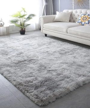 Shag Area Rugs
